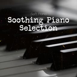 Soothing Piano Selection - Soft Piano