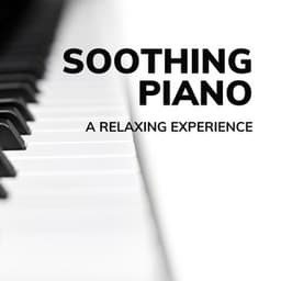 Soothing Piano: A Relaxing Experience - Classical Piano Playlist