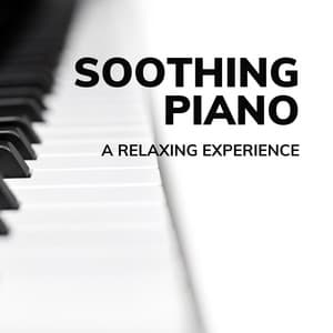 Soothing Piano: A Relaxing Experience - Classical Piano Playlist