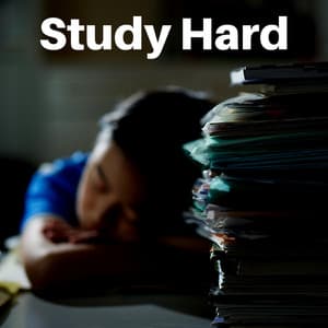 Study Hard - Study With Us