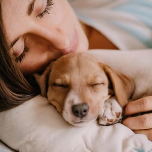 Melodía De Patitas Suaves: Música Relajante Para Perros En Descanso - Radio Ondas 1