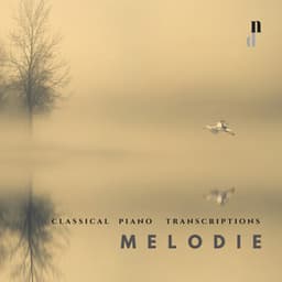 "058 Classical Piano Transcriptions": Melodie - Various Artists