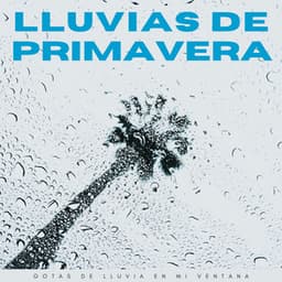 Lluvias De Primavera: Gotas De Lluvia En Mi Ventana - El Canal del Clima