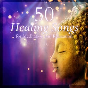 50 Healing Songs for Meditation and Relaxation: Serenity Music for Yoga, Spa, Massages and Sleep, Relaxing Zen Music - Deep Visualization Zen
