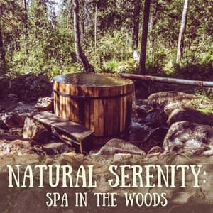 Natural Serenity: Spa in the Woods - Outside HD Samples