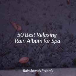 50 Best Relaxing Rain Album for Spa - Rising Higher Meditation