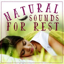 Natural Sounds for Rest - Ambient Nature Sounds