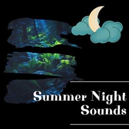Summer Night Sounds - Night Sounds Channel