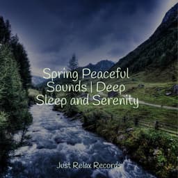 Spring Peaceful Sounds | Deep Sleep and Serenity - ASMR HD