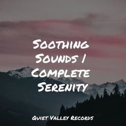 Soothing Sounds | Complete Serenity - Ambient Forest