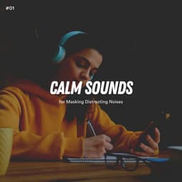 #01 Calm Sounds for Masking Distracting Noises - White Noise