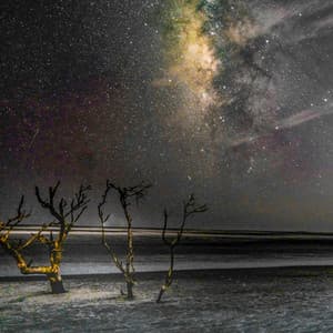 12 Hours: The Whispering Hiss - White Noise Therapy