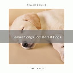 Leaves Songs For Dearest Dogs - Dog Relax