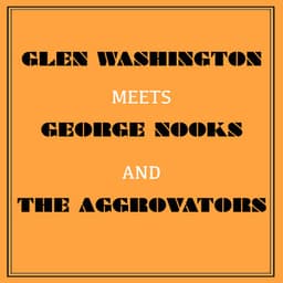 Glen Washington Meets George Nooks and the Aggrovators - Glen Washington