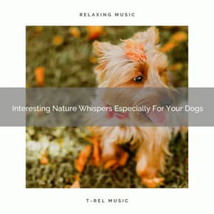 Interesting Nature Whispers Especially For Your Dogs - Dog Total Relax