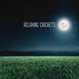 Relaxing Crickets: Good Night Sleep with Soothing Natural Sounds of Crickets by Field, Meadow and River - Trouble Sleeping Music Universe