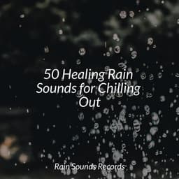 50 Healing Rain Sounds for Chilling Out - Cascada de Lluvia
