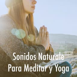 Sonidos Naturale Para Meditar y Yoga - Massage