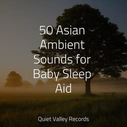 50 Asian Ambient Sounds for Baby Sleep Aid - Healing Sounds for Deep Sleep and Relaxation