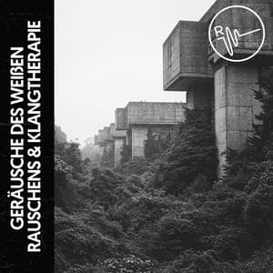 Geräusche des Weißen Rauschens & Klangtherapie: Harmonie in Wellen - Relajacion