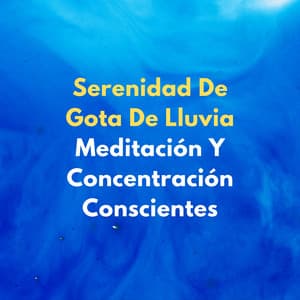 Serenidad De Gota De Lluvia: Meditación Y Concentración Conscientes - La Lluvia Suena Expertos en Naturaleza