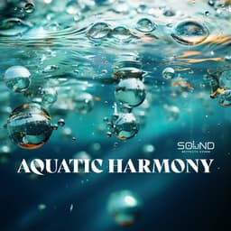 Aquatic Harmony: ASMR Ripples of Serenity - Sound Effects Zone