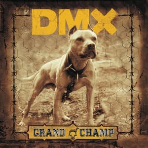 Grand Champ - DMX