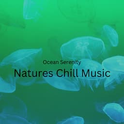 Ocean Serenity: Natures Chill Music - The Amnesias