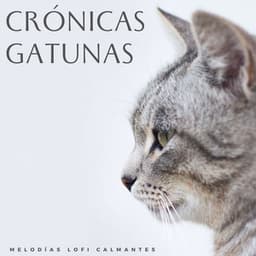 Crónicas Gatunas: Melodías Lofi Calmantes - Ritmo de hip-hop lofi