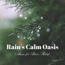 Rain's Calm Oasis: Music for Stress Relief - Rainfall For Sleep
