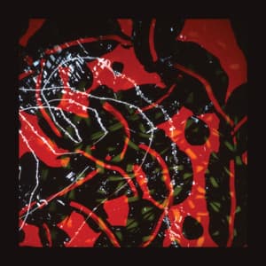 Nerve Net - Brian Eno