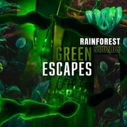 Green Escapes - Rainforest Sounds
