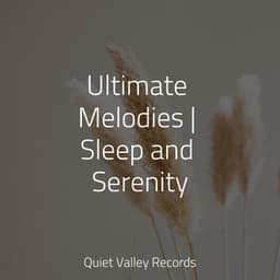 Ultimate Melodies | Sleep and Serenity - Calm Down