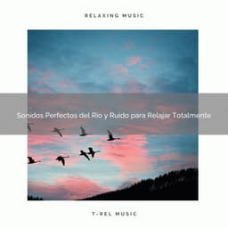 Sonidos Perfectos del Río y Ruido para Relajar Totalmente - Ruido Blanco