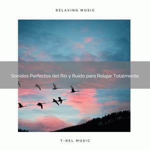 Sonidos Perfectos del Río y Ruido para Relajar Totalmente - Ruido Blanco