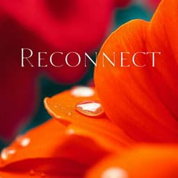 Reconnect: Healing Through Nature - Natures Orchestra