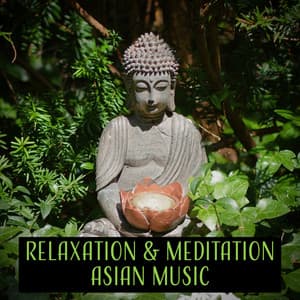 Relaxation & Meditation Asian Music: 50 Songs for Yoga, Massage, Meditation, Spa and Sleep, Sounds of Nature - Relaxation & Meditation Academy
