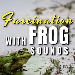 Fascination with Frog Sounds - Frog Sounds