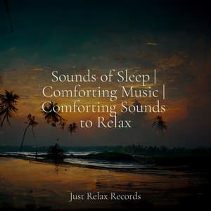 Sounds of Sleep | Comforting Music | Comforting Sounds to Relax - Bedtime Baby