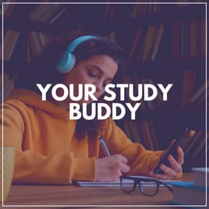 Your Study Buddy - Music for Working