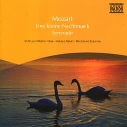 Mozart: Eine Kleine Nachtmusik / Serenata Notturna / Divertimento - Wolfgang Amadeus Mozart
