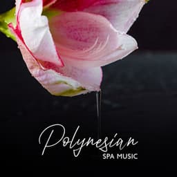 Polynesian Spa Music: Sunset in Hawaii, Tropical Music, Massage Therapy, Hawaiian Music - Pure Massage Music Consort
