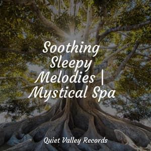 Soothing Sleepy Melodies | Mystical Spa - Meditação Yoga