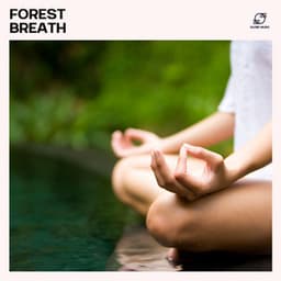 Forest Breath - Zen Meditation Orchestra