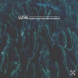 Listen to This Calming Ocean Music While You Meditate - ASMR Earth