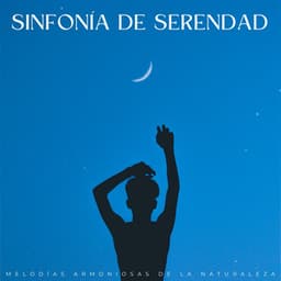 Sinfonía De Serendad: Melodías Armoniosas De La Naturaleza - Ritmos lofi