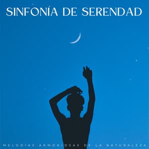 Sinfonía De Serendad: Melodías Armoniosas De La Naturaleza - Ritmos lofi