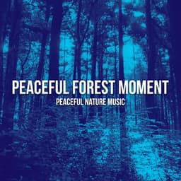 Peaceful Forest Moment - Peaceful Nature Music