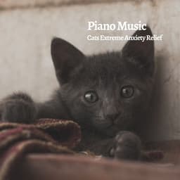 Piano Music: Cats Extreme Anxiety Relief - PianoDeuss