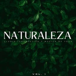 Naturaleza: Lluvia Terapéutica Y Música De Yoga Vol. 1 - Sonidos de lluvia y sonidos de la naturaleza